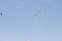 Name: Flagged - 658.jpg
Views: 48
Size: 13.3 KB
Description: 