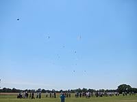 Name: Flagged - 660.jpg
Views: 42
Size: 21.8 KB
Description: 