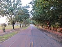 Name: Flagged - 679.jpg
Views: 57
Size: 80.1 KB
Description: 