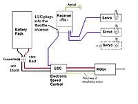 Brushless motor/ESC wiring help - RC Groups