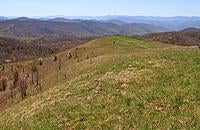 Name: IMG_4853 (2).jpg
Views: 106
Size: 297.0 KB
Description: History says a plane landed on Max