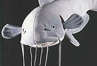 Name: catfish.jpg
Views: 73
Size: 11.7 KB
Description: Can we learn anything?