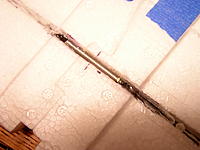 Name: PA020009.jpg
Views: 623
Size: 146.2 KB
Description: Added CF reinforcement for wings with stainless joiner