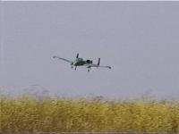 Name: A-10_jay3.jpg
Views: 186
Size: 46.6 KB
Description: 