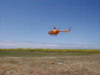 Name: P4120009s.jpg
Views: 185
Size: 29.0 KB
Description: 