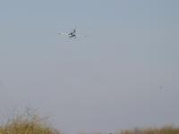 Name: panther_land.jpg
Views: 451
Size: 66.7 KB
Description: 