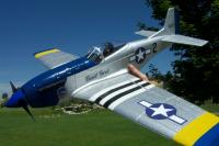 Name: Mustang 2.jpg
Views: 293
Size: 75.3 KB
Description: 