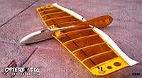 Name: Opteryx-Micro-DLG.jpg
Views: 333
Size: 174.8 KB
Description: 