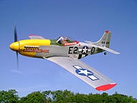 Name: Stangfly2.jpg
Views: 45
Size: 152.4 KB
Description: 