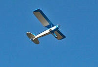 Name: Petite Parasol-2.jpg
Views: 36
Size: 58.5 KB
Description: 