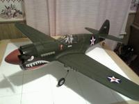 Name: P-40 Complete.jpg
Views: 110
Size: 59.2 KB
Description: 