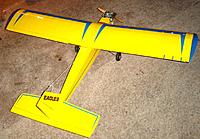 Eagle2 A.jpg