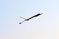 Name: DSC_0322.jpg
Views: 46
Size: 278.3 KB
Description: 