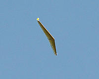 Name: DSC_0907 ES.jpg
Views: 35
Size: 172.2 KB
Description: 