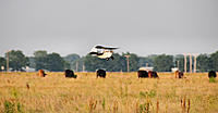 Name: DSC_0211.JPG
Views: 47
Size: 297.6 KB
Description: 