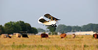 Name: DSC_0215.JPG
Views: 53
Size: 285.3 KB
Description: 