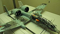 Name: PB100679.JPG
Views: 44
Size: 192.3 KB
Description: 