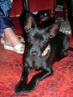 Name: Harris-Sep-9-2004-1.jpg
Views: 2982
Size: 87.1 KB
Description: 