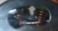 Name: IMG_8626.jpg
Views: 63
Size: 11.8 KB
Description: 