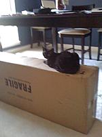 Name: photo.JPG
Views: 53
Size: 204.3 KB
Description: 