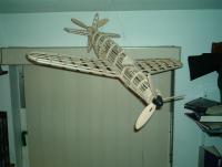 Name: Do 335 hanging.JPG
Views: 979
Size: 93.7 KB
Description: 