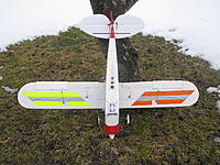 IMG_2313.jpg
