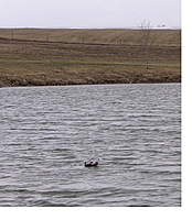 Name: brigatsea1.jpg
Views: 57
Size: 65.9 KB
Description: 
