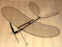 Name: stubenfliege.jpg
Views: 222
Size: 30.4 KB
Description: 