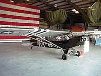 Name: DSC04978.jpg
Views: 126
Size: 82.2 KB
Description: This bird was actually used in WWII