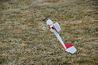 Name: DSC_0270.jpg
Views: 292
Size: 101.6 KB
Description: 