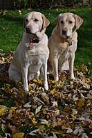 Name: DSC_0155.jpg
Views: 11
Size: 171.6 KB
Description: 