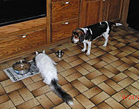 Name: res002.jpg
Views: 75
Size: 204.8 KB
Description: Uh, dude.......