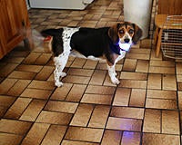 Name: res2367.jpg
Views: 19
Size: 169.5 KB
Description: 