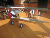Name: albatros4.jpg
Views: 353
Size: 6.1 KB
Description: 