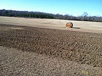Name: IMG_1528.jpg
Views: 31
Size: 310.0 KB
Description: 
