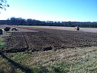 Name: IMG_1530.jpg
Views: 34
Size: 304.6 KB
Description: 