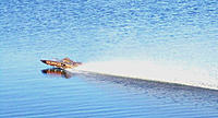 Name: Goldy.jpg
Views: 64
Size: 82.7 KB
Description: 