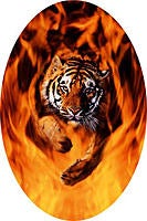 Name: Tiger Flames.jpg
Views: 34
Size: 84.3 KB
Description: Original