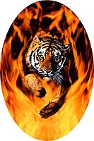 Name: Tiger Flames1.jpg
Views: 36
Size: 58.5 KB
Description: sharper, doctored up.