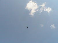 Name: IMG_1119.jpg
Views: 21
Size: 227.9 KB
Description: 