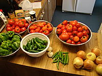 Name: The goods.jpg
Views: 120
Size: 261.1 KB
Description: All but the onions and garlic came from the garden.