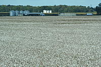 Name: day3 099.jpg
Views: 107
Size: 308.4 KB
Description: 
