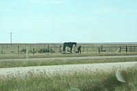 Name: day04a 282.jpg
Views: 71
Size: 142.7 KB
Description: 