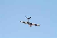 Name: Nano Falcon at Del Valle.jpg
Views: 176
Size: 12.1 KB
Description: 