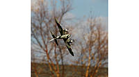 Name: PKZU1380_a15.jpg
Views: 27
Size: 48.6 KB
Description: 