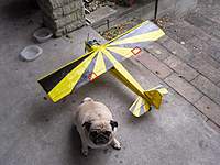 Name: Cub 3.jpg
Views: 256
Size: 101.3 KB
Description: 