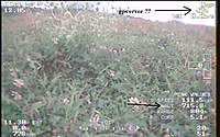 Name: foto3.jpg
Views: 98
Size: 65.6 KB
Description: 