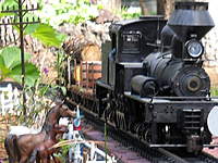 Name: RSCN0989.jpg
Views: 136
Size: 90.2 KB
Description: horses from a local ranch always get an engine whistle as the train goes by