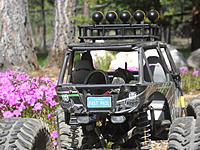 Name: DSCN0499.jpg
Views: 68
Size: 250.4 KB
Description: ....this is the view most others see!...check out the personalized plates!
