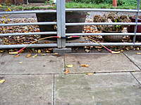 Name: DSCF0059.jpg
Views: 134
Size: 134.3 KB
Description: 